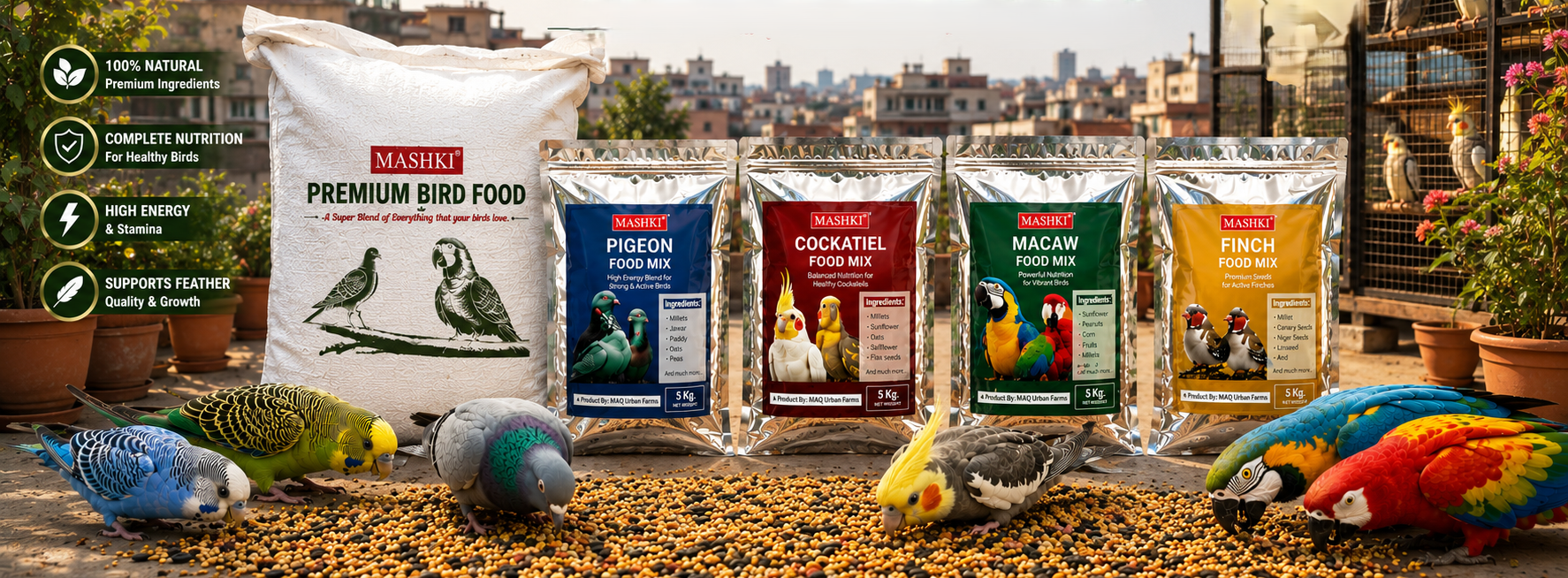Why MASHKI Quality Bird Food Matters: A Complete Guide to Keeping Your Pet Birds Healthy
