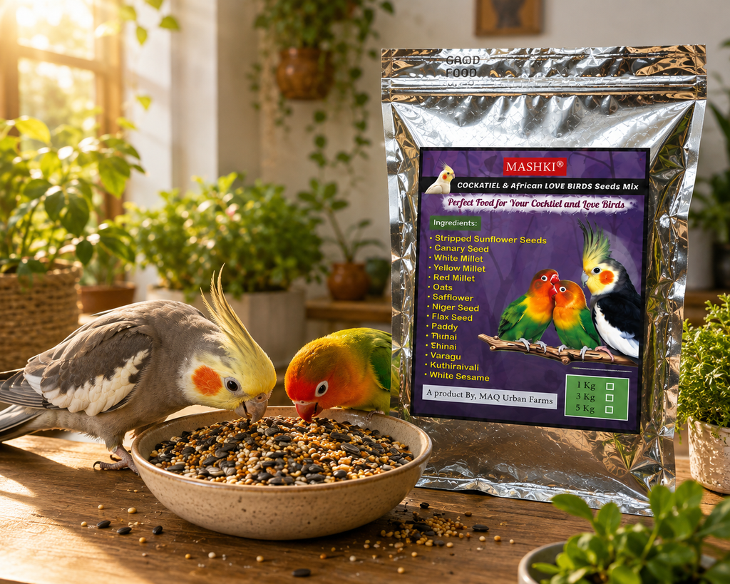 MASHKI Premium Cockatiel & Lovebird Seed Mix