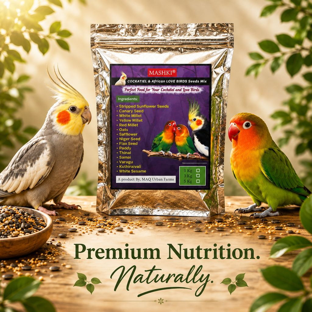 MASHKI Premium Cockatiel & Lovebird Seed Mix