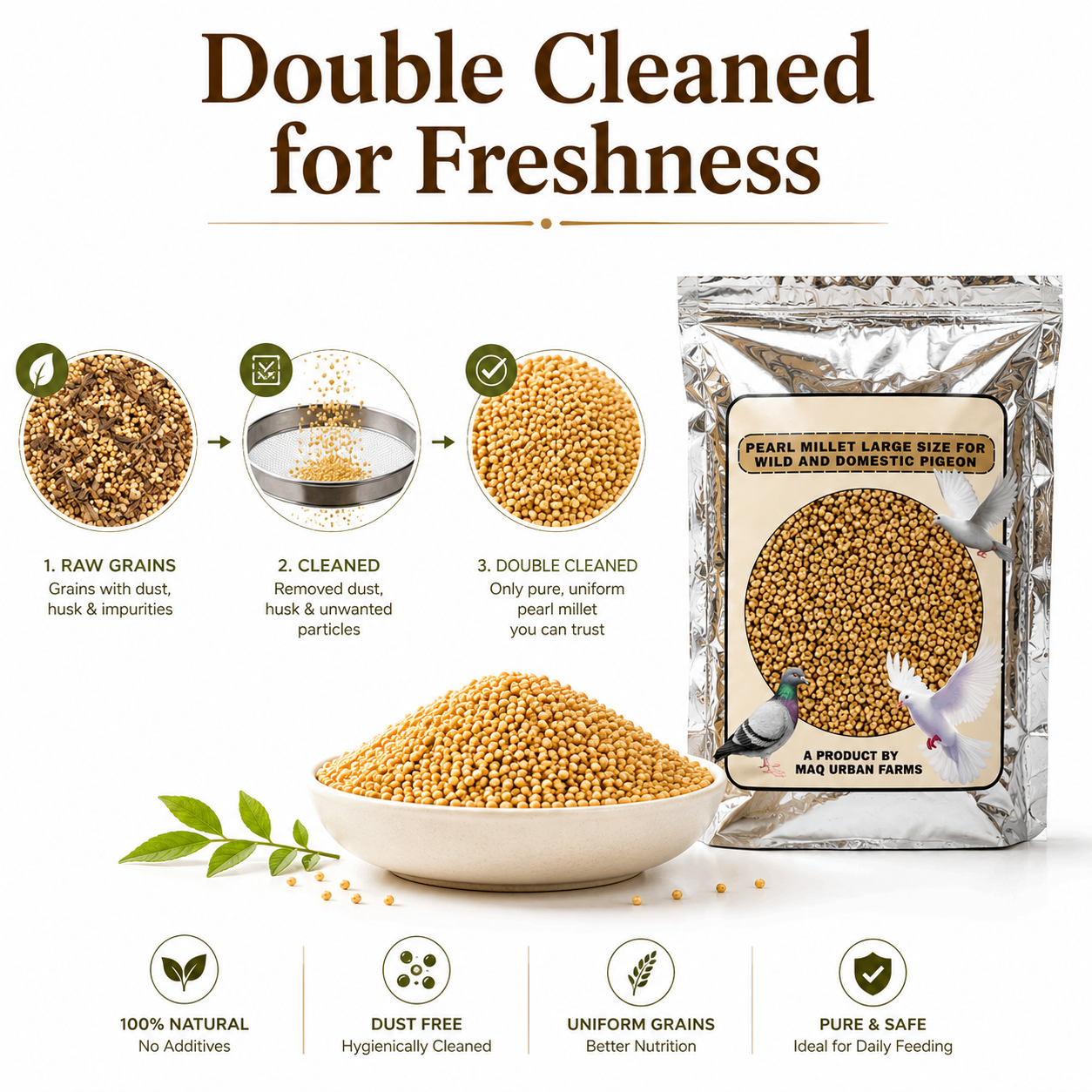 MASHKI Premium Pearl Millet (Bajra/Kambu) for Birds