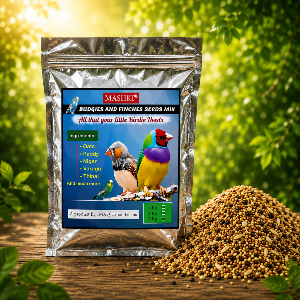 MASHKI Budgie & Finch Food Mix | Premium Bird Seed Blend for Small Birds