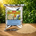 MASHKI Safflower Seeds Bird Food | Premium High-Energy Seeds for Parrots, Cockatiels & Pet Birds
