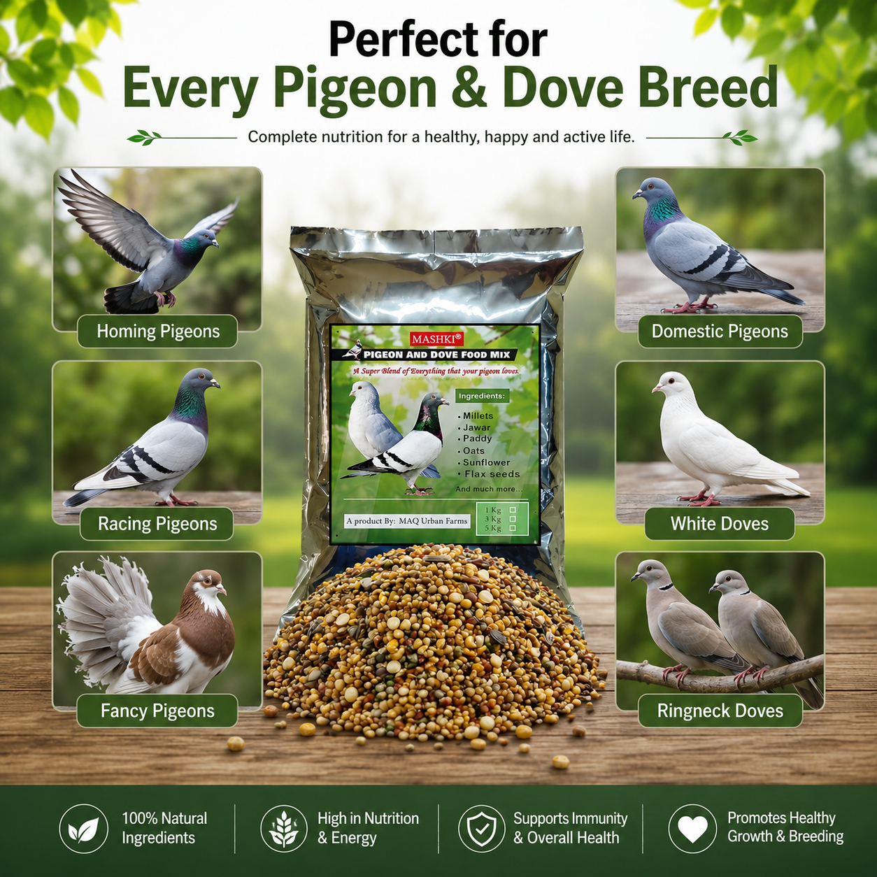 MASHKI Pigeon Food Mix (Kabootar Ka Dana)1kg – Nutritious Bird Feed for Pigeons & Doves