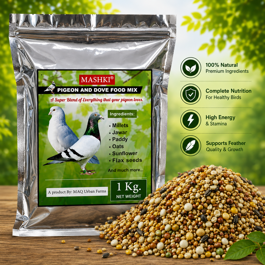 MASHKI Pigeon Food Mix (Kabootar Ka Dana)1kg – Nutritious Bird Feed for Pigeons & Doves