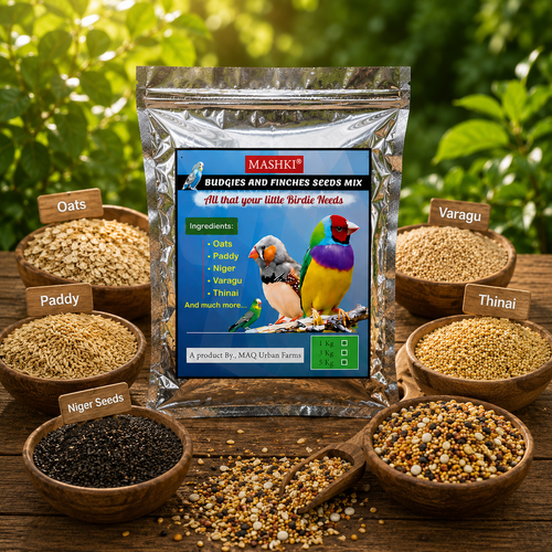 MASHKI Budgie & Finch Food Mix | Premium Bird Seed Blend for Small Birds