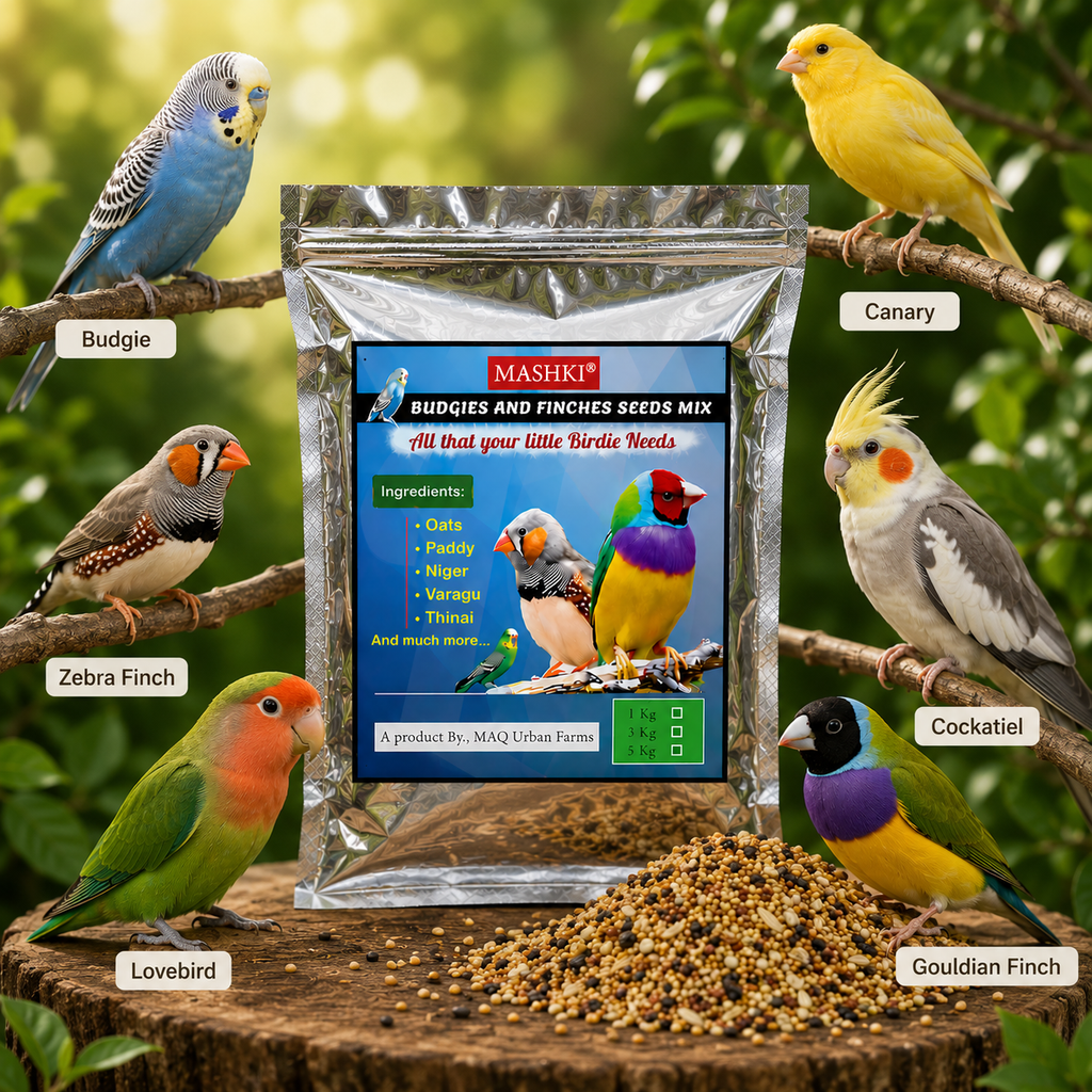 MASHKI Budgie & Finch Food Mix | Premium Bird Seed Blend for Small Birds