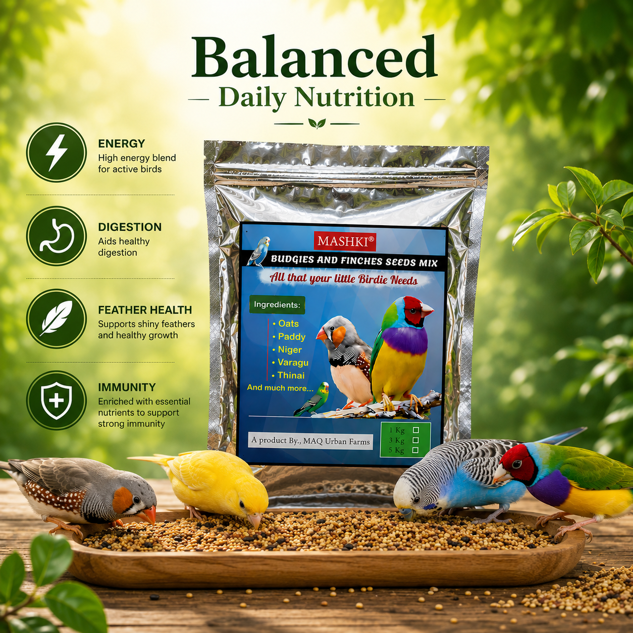 MASHKI Budgie & Finch Food Mix | Premium Bird Seed Blend for Small Birds