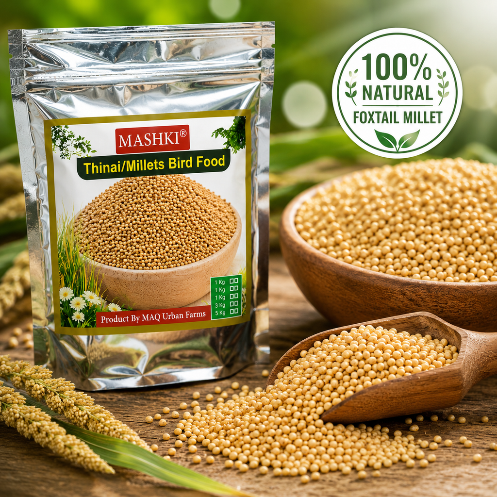 MASHKI Thinai (Millets) Bird Food | Premium Foxtail Millet Seeds for Pet Birds