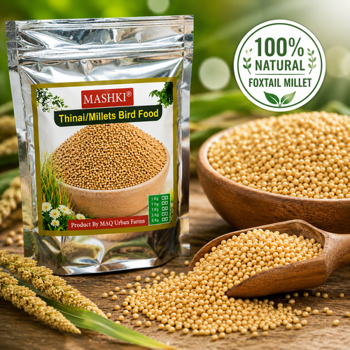 MASHKI Thinai (Millets) Bird Food | Premium Foxtail Millet Seeds for Pet Birds