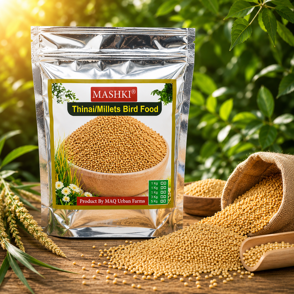 MASHKI Thinai (Millets) Bird Food | Premium Foxtail Millet Seeds for Pet Birds