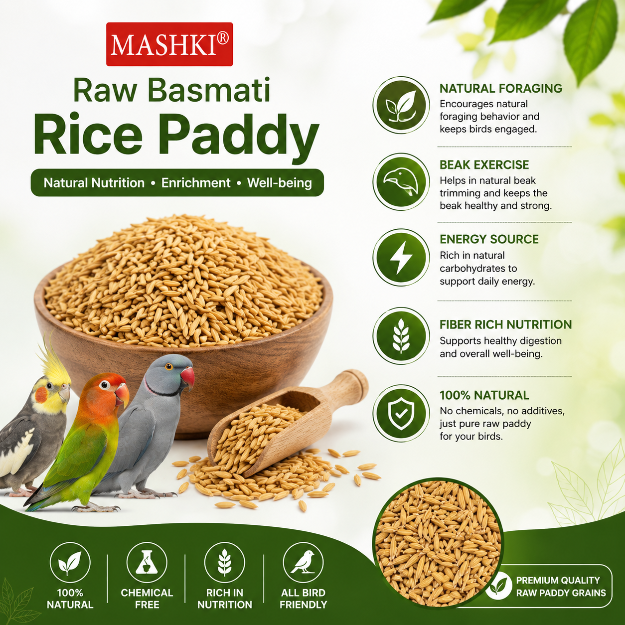MASHKI Raw Basmati Rice Paddy (Nellu Seeds) for Birds