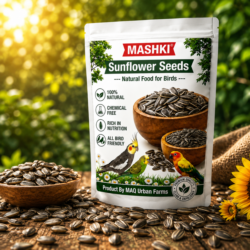 MASHKI Premium Sunflower Seeds Bird Food