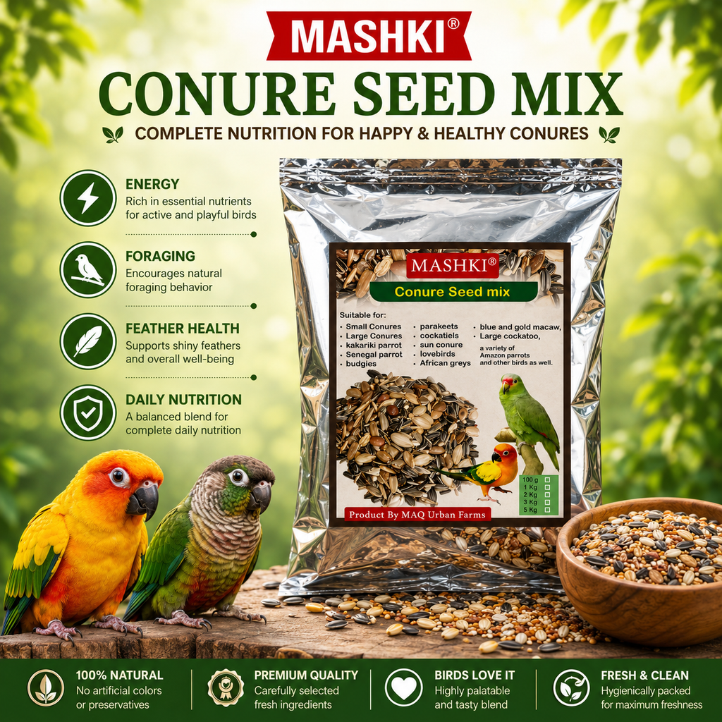 MASHKI Premium nutrition Conure Food Mix