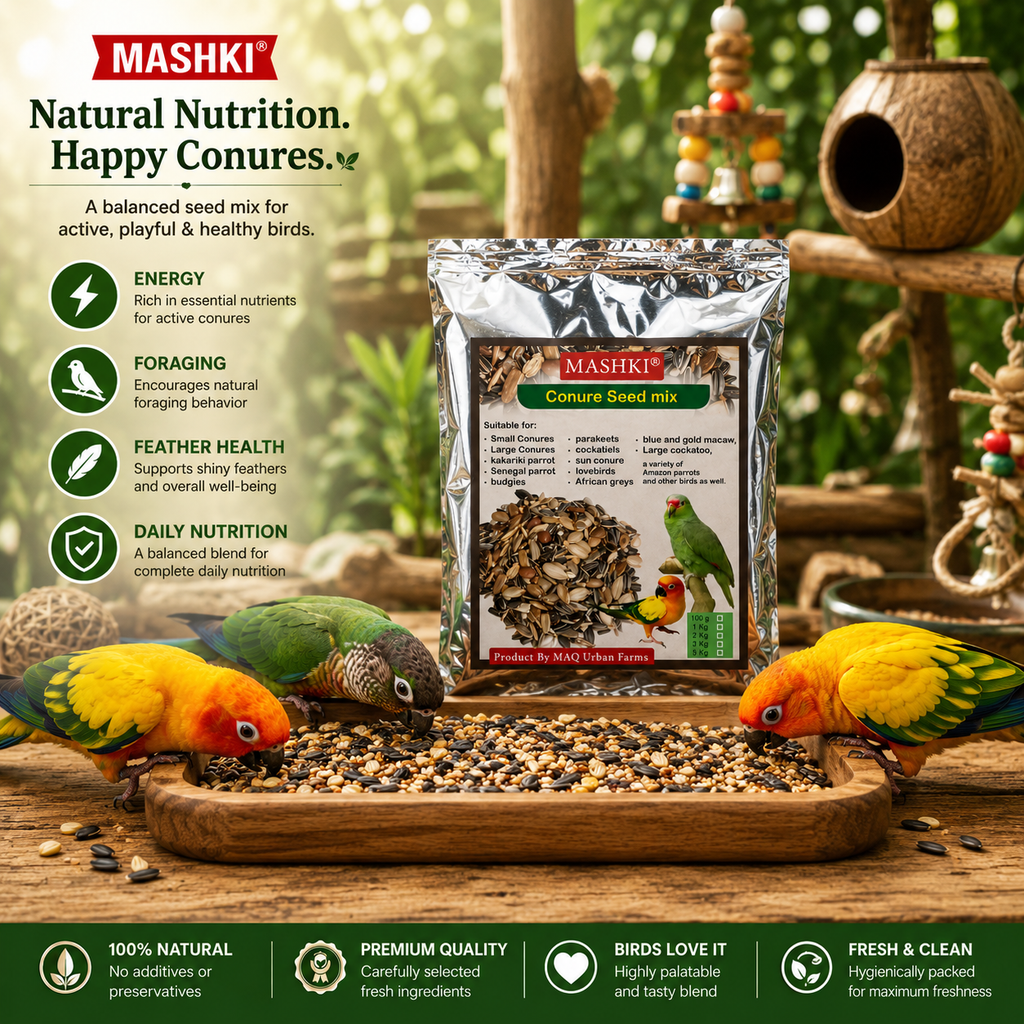 MASHKI Premium nutrition Conure Food Mix