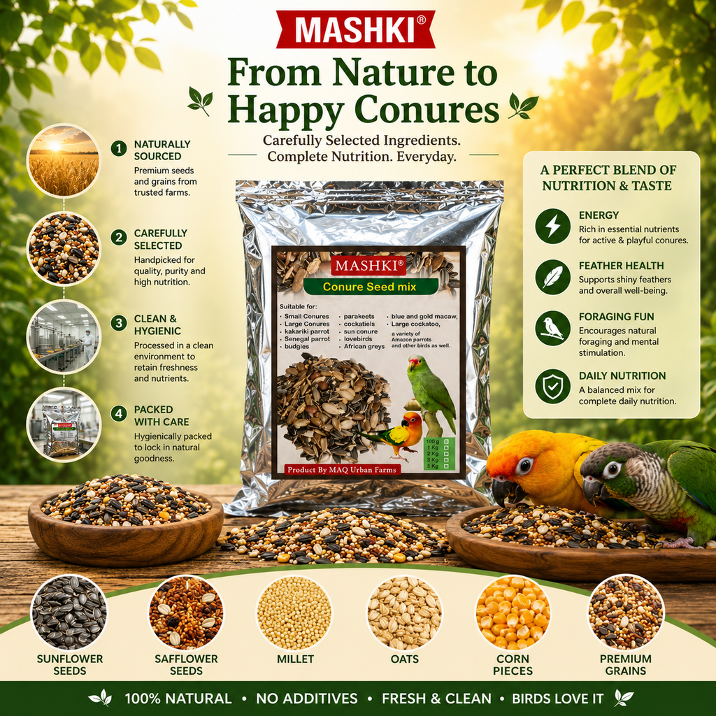 MASHKI Premium nutrition Conure Food Mix