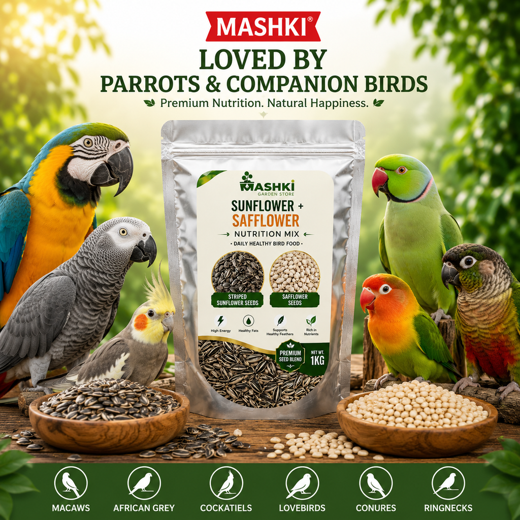 MASHKI Premium Sunflower & Safflower Seeds Mix