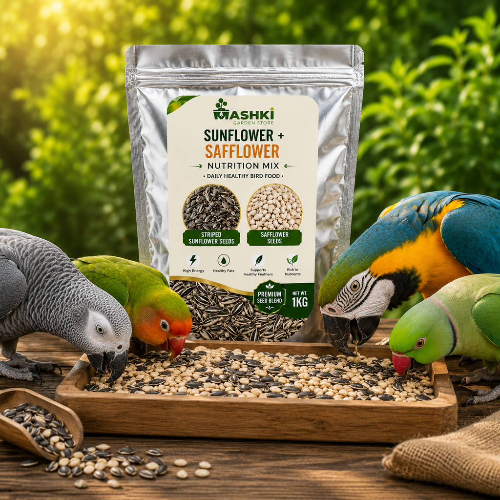 MASHKI Premium Sunflower & Safflower Seeds Mix