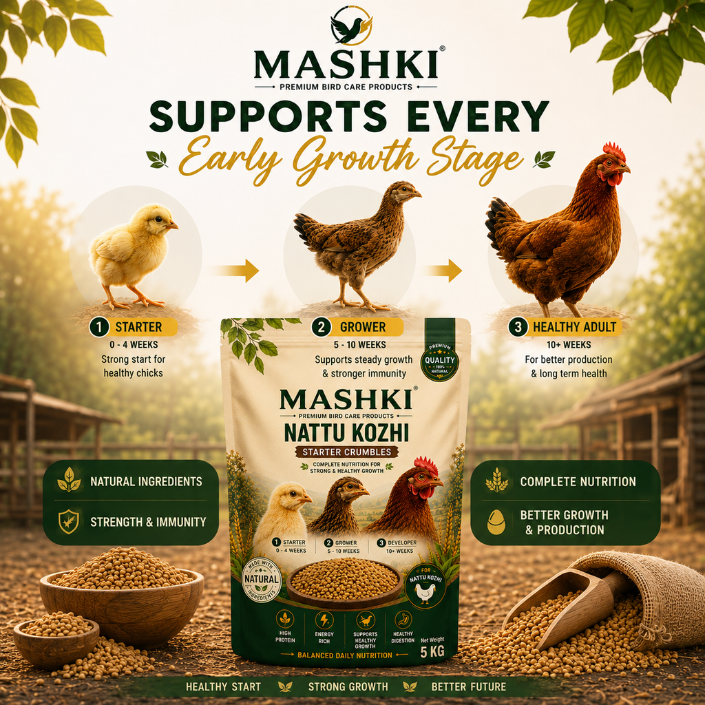 MASHKI High Protein Poultry Starter Feed