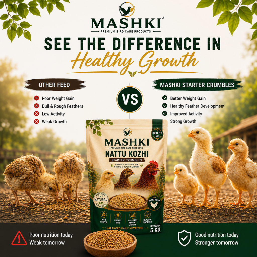 MASHKI High Protein Poultry Starter Feed